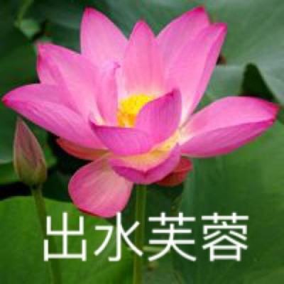 灵魂愤怒手游下载